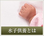 ���q���{�Ƃ�