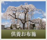 ���{���z�{