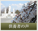 ���{�҂̐�